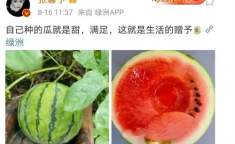 今年娱乐的吃瓜事件,2023年度娱乐圈爆笑吃瓜大盘点