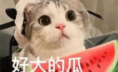 网红君君吃瓜微博,揭秘娱乐圈幕后故事，带你领略网红圈真实一面