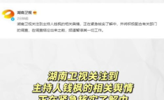 娱乐吃瓜系统,吃瓜系统助力艺人崛起